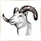 Little Big Horn College - Affordable School Ranking