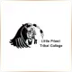 Little Priest Tribal College - Affordable School Ranking
