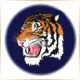 Paul Quinn College - Affordable School Ranking